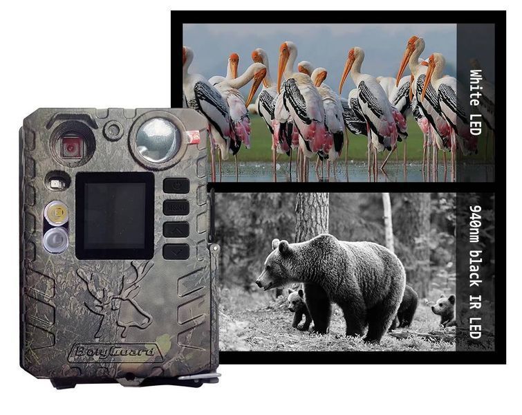 Мини фотоловушка BolyGuard BG410-D (37Mp, 18650) 1443 фото Мини фотоловушка BolyGuard BG410-D (37Mp, 18650) 1443 фото
