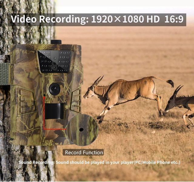 Фотопастка Suntek HT001B (12Mp, 850nm) (860) 860 фото