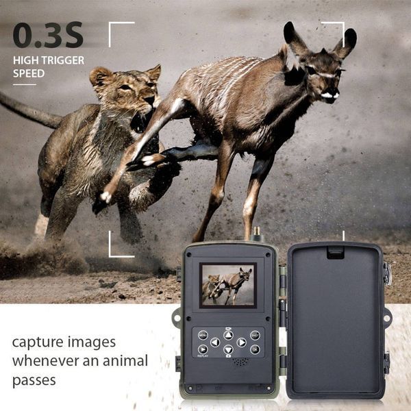 GSM фотоловушка Suntek HC-801M EU 1121 фото