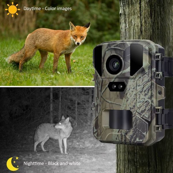 Фотопастка Suntek MiNi800 (50Мп, екран 2") (1367) 1367 фото Фотопастка Suntek MiNi800 (50Мп, екран 2") (1367) 1367 фото